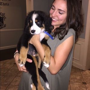 Olive green sundress